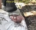 2 French Doll’s Outdoor Brutality Brutal Video