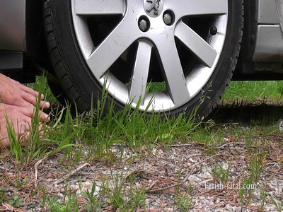 Car Crushing With One Forearm And The Two Palms With Front And Rear Wheels