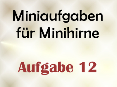 Miniaufgabe Fr Minihirne – Aufgabe 12